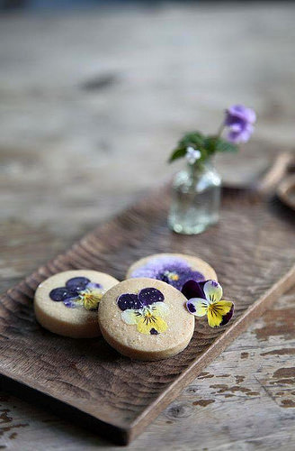 12814033_1049974445060050_7879428290175326160_n