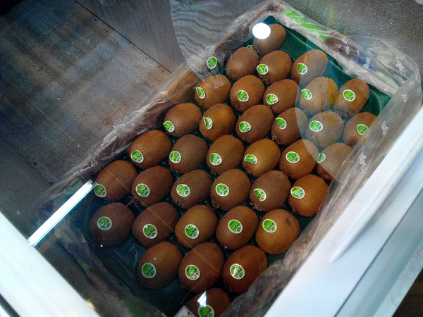 麻古茶坊:【臺南Ω東區】麻古茶坊。天然現做,健康和果肉都看得見的優質飲品