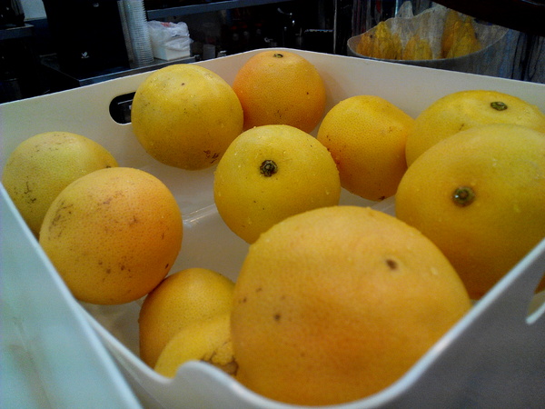 麻古茶坊:【臺南Ω東區】麻古茶坊。天然現做,健康和果肉都看得見的優質飲品