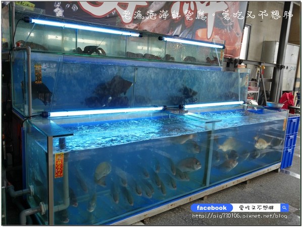 老漁港海鮮餐廳:【宜蘭/美食】佛心來的價格!二千元一桌的合菜!登龜山島、賞鯨搭配用餐還可以打折!!老漁港海鮮餐廳