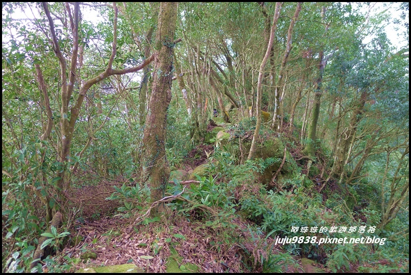 五寮尖23.JPG