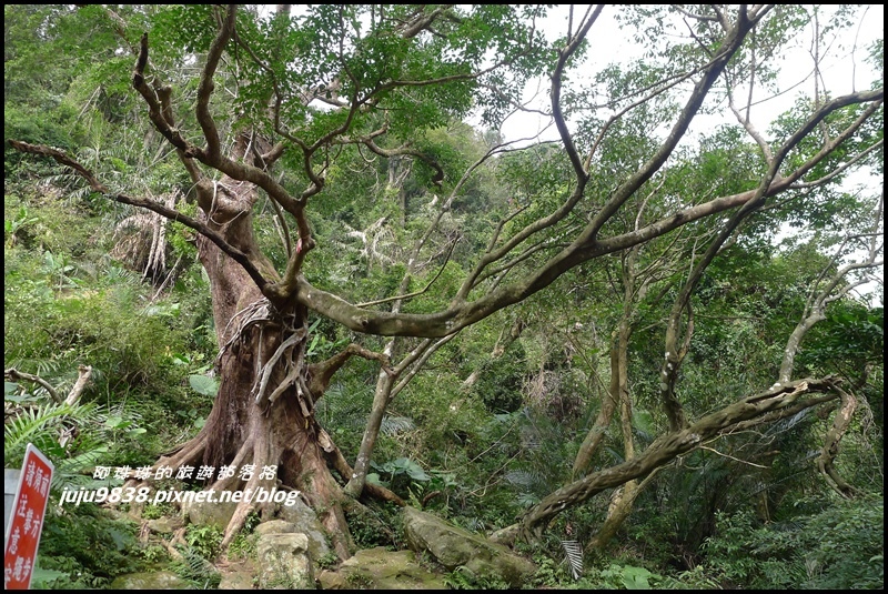五寮尖51.JPG
