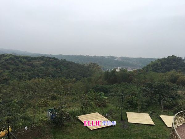 12476410_1069492253071994_903236870_n