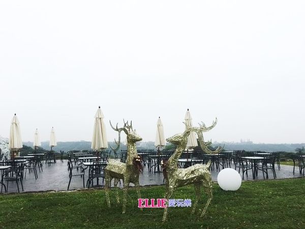 12899702_1069492066405346_1895817997_n