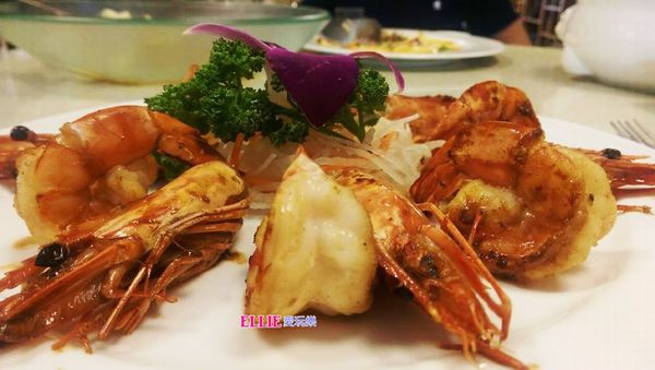 12899788_1069494566405096_2105084012_n