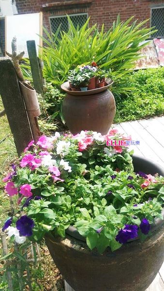 12895336_1069494376405115_7647121_n