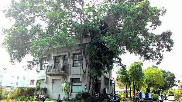 永康樹屋:珍藏幸福~ 永保安康 ...永康樹屋