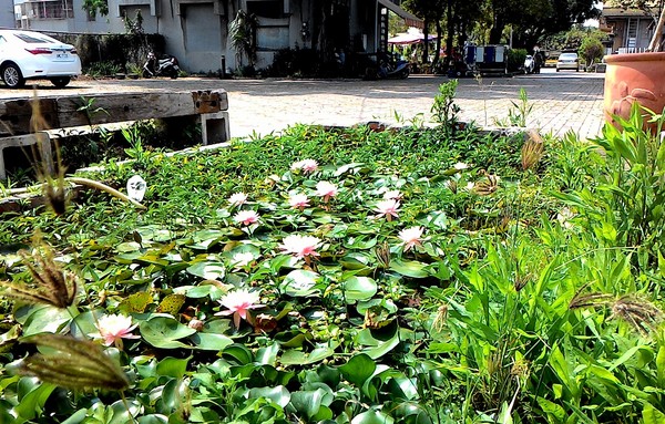 永康樹屋:珍藏幸福~ 永保安康 ...永康樹屋