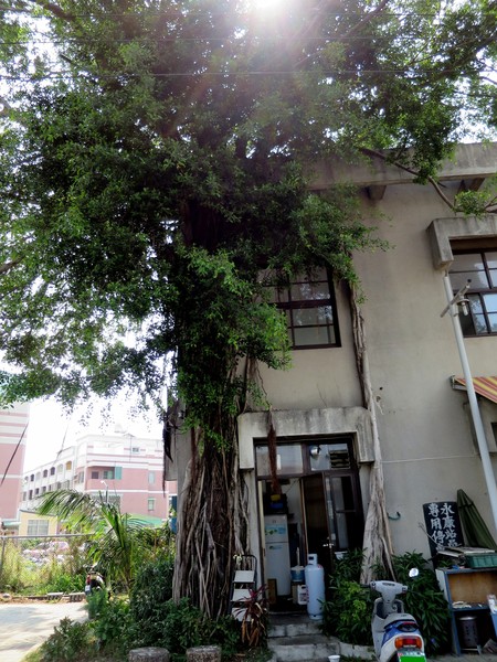 永康樹屋:珍藏幸福~ 永保安康 ...永康樹屋