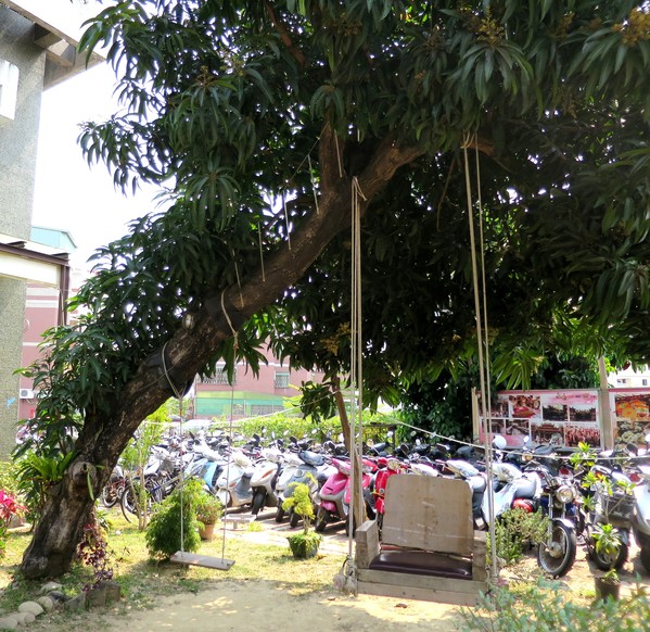 永康樹屋：珍藏幸福~ 永保安康    ...永康樹屋