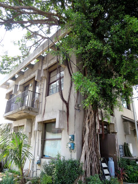 永康樹屋：珍藏幸福~ 永保安康    ...永康樹屋