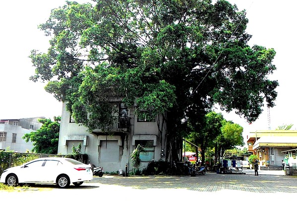 永康樹屋:珍藏幸福~ 永保安康 ...永康樹屋