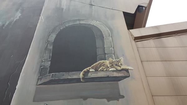 民雄鄉公所貓彩繪牆：哇!眾貓盤據誤以為來到貓村囉~民雄鄉公所貓彩繪牆