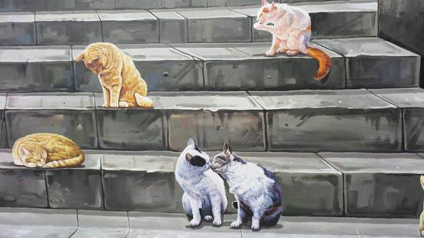 民雄鄉公所貓彩繪牆：哇!眾貓盤據誤以為來到貓村囉~民雄鄉公所貓彩繪牆