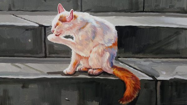 民雄鄉公所貓彩繪牆：哇!眾貓盤據誤以為來到貓村囉~民雄鄉公所貓彩繪牆