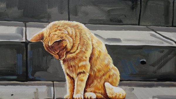 民雄鄉公所貓彩繪牆：哇!眾貓盤據誤以為來到貓村囉~民雄鄉公所貓彩繪牆