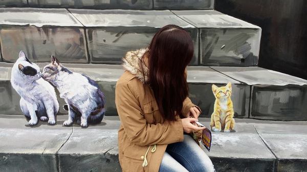 民雄鄉公所貓彩繪牆：哇!眾貓盤據誤以為來到貓村囉~民雄鄉公所貓彩繪牆