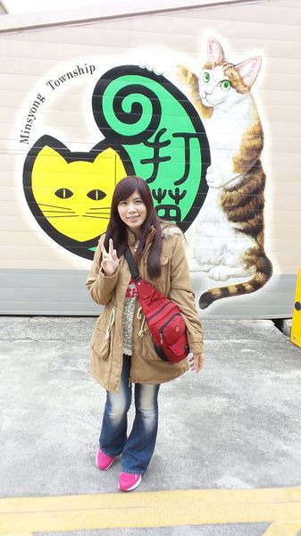 民雄鄉公所貓彩繪牆：哇!眾貓盤據誤以為來到貓村囉~民雄鄉公所貓彩繪牆