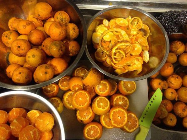 10006601_1134242833260037_5065903394022546644_n