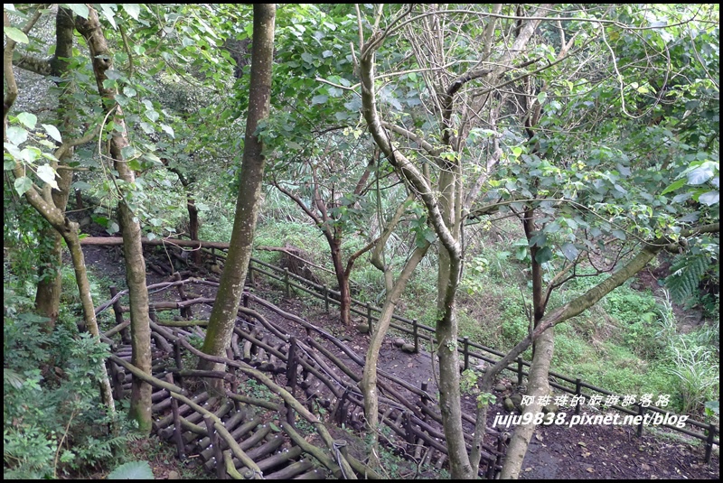 大坑一號步道9.JPG