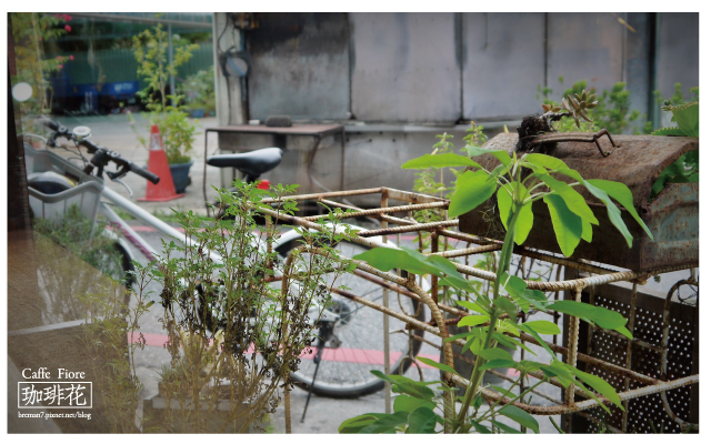 Caffe-Fiore珈琲花-10