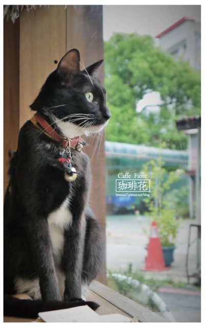 Caffe-Fiore珈琲花-17