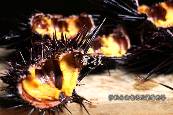 余韻日式料理:海膽布丁你敢吃嗎『余韻日式料理』捷運忠孝復興站/微風廣場旁