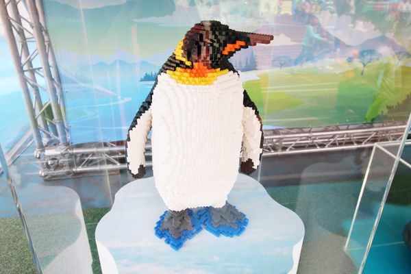 【新竹旅遊】2016新竹市兒童藝術節-伊索動物園