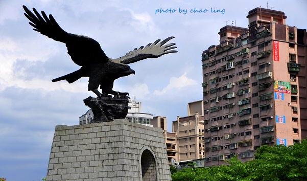 台北大學阿勃勒-8.JPG - 2016夏之豔陽