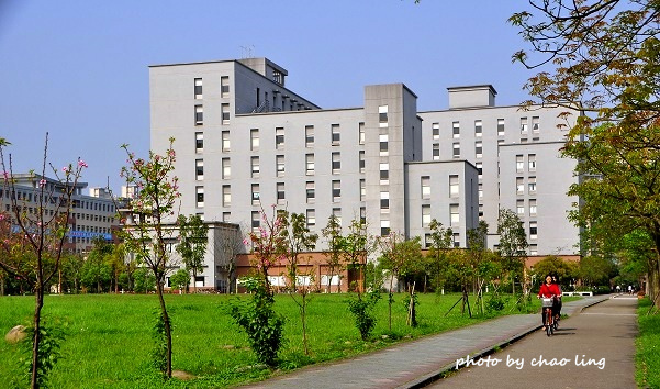 台北大學花季-44.JPG - 2016春暖花開