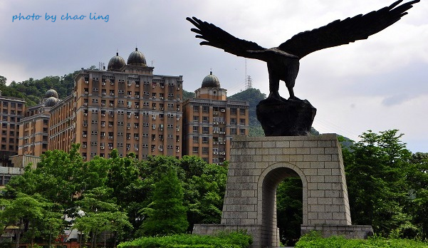 台北大學阿勃勒-7.JPG - 2016夏之豔陽