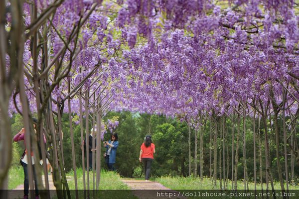 12970694_1060024024038940_911776877_o