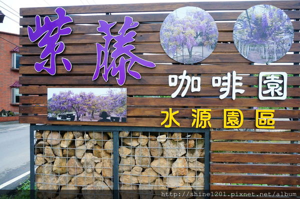 【淡水紫藤咖啡園】天元宮紫藤咖啡園水源園區.2016/4/11浪漫紫色風暴盛開