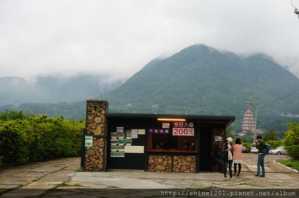 【淡水紫藤咖啡園】天元宮紫藤咖啡園水源園區.2016/4/11浪漫紫色風暴盛開