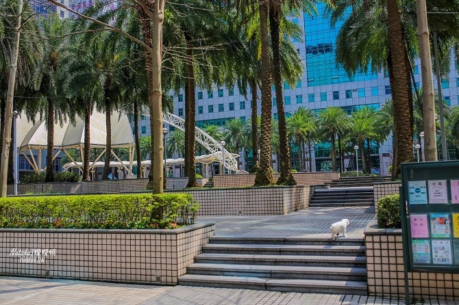 寵物友善餐廳│新北中和美食│老爺爺咖啡~上萬元高級全身按摩椅讓你喝咖啡吃美食超放鬆22