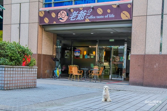 寵物友善餐廳│新北中和美食│老爺爺咖啡~上萬元高級全身按摩椅讓你喝咖啡吃美食超放鬆59
