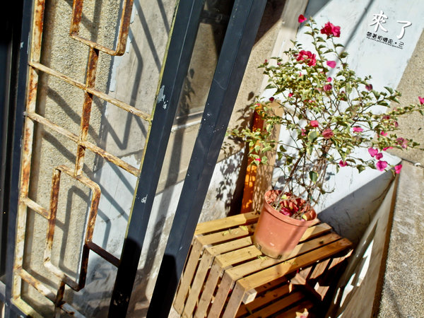 來了：台南 中西區．老宅旅宿、早午餐   