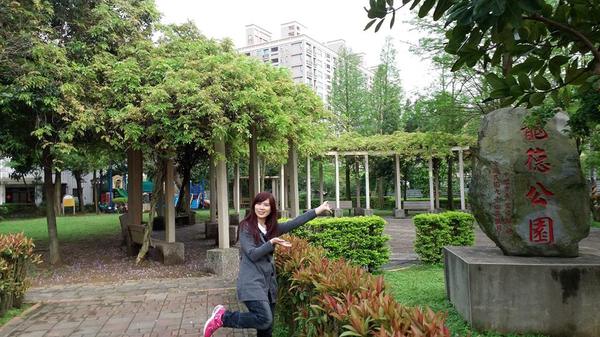 中壢龍德公園：【桃園景點】中壢龍德公園紫藤花(4月16花況)