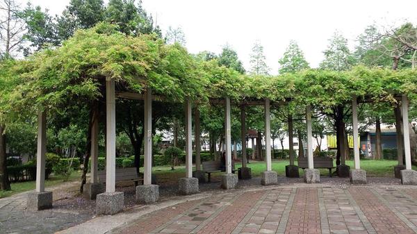 中壢龍德公園：【桃園景點】中壢龍德公園紫藤花(4月16花況)