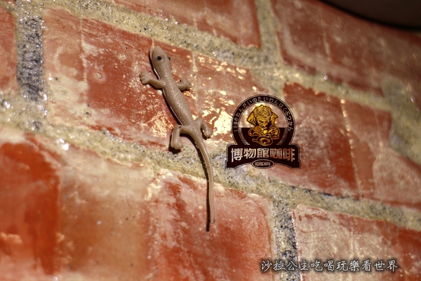 Museum Coffee:台北信義新開幕50年代博物館咖啡『Museum Coffee』早餐/下午茶