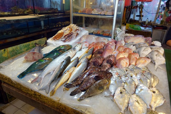 南寮漁港十七公里海岸風景區:(胖樺遊記)新竹十七公里海岸線/地中海風情南寮漁港休閒碼頭/新竹漁港,自行車道通往海天一色看海區/特色咖啡廳