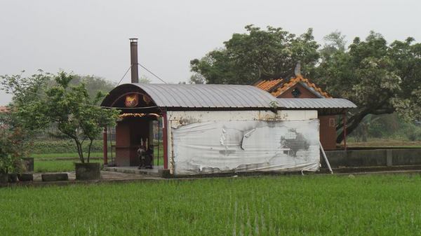 【桃園景點】百年土地公流蘇花：【桃園景點】百年土地公流蘇花(4月16花況)