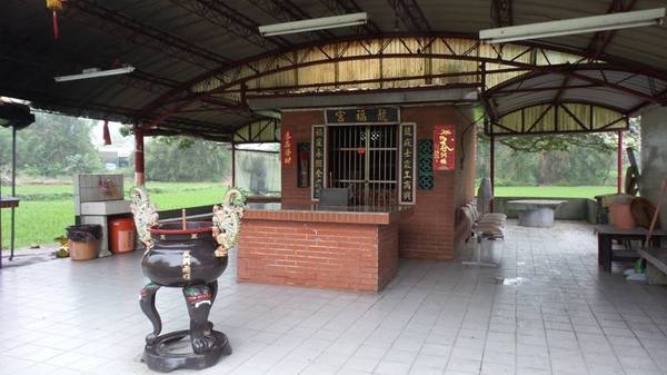 【桃園景點】百年土地公流蘇花：【桃園景點】百年土地公流蘇花(4月16花況)