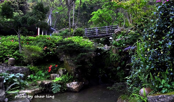 三峽佛山寺-26.JPG - 2016春暖花開