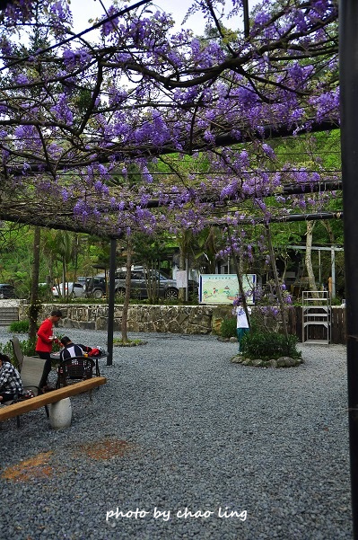 三峽佛山寺-6.JPG - 2016春暖花開