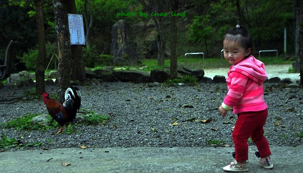 三峽佛山寺-41.JPG - 2016春暖花開