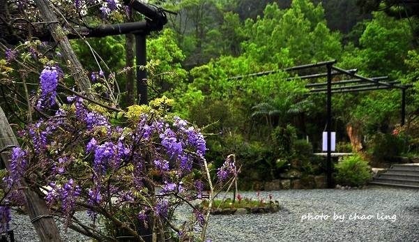 三峽佛山寺-8.JPG - 2016春暖花開