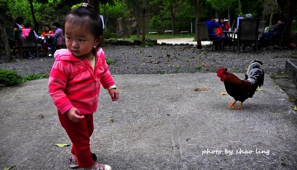 三峽佛山寺-42.JPG - 2016春暖花開