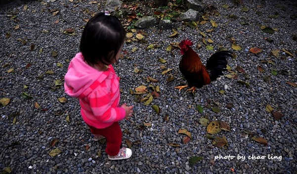 三峽佛山寺-39.JPG - 2016春暖花開
