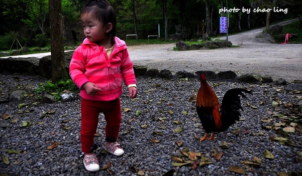 三峽佛山寺-40.JPG - 2016春暖花開